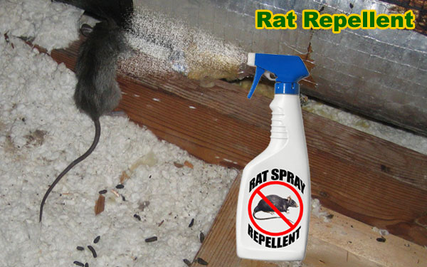 Rat Repellent Natural Home Remedy Recipes For Rodent Deterrent