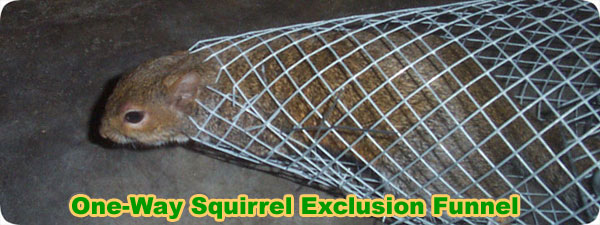 One-Way Door - Exclusion Funnel for Squirrels
